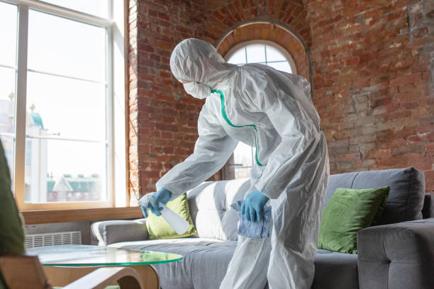 Why You Should Choose Our Mold Remediation Services in Millbury, OH